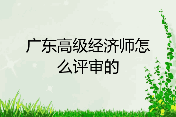广东高级经济师怎么评审的