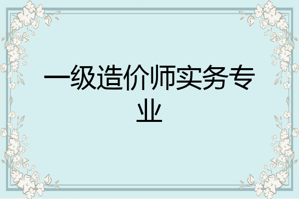 一级造价师实务专业