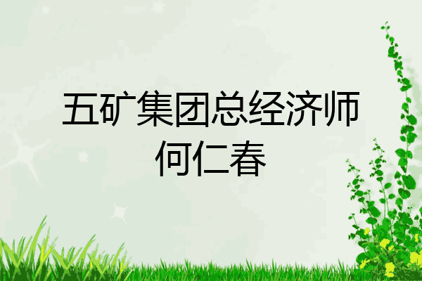 五矿集团总经济师何仁春