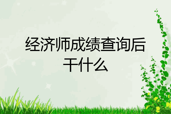 经济师成绩查询后干什么