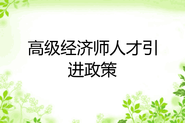 高级经济师人才引进政策