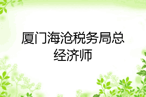 厦门海沧税务局总经济师