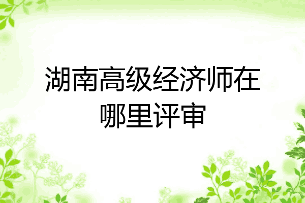 湖南高级经济师在哪里评审