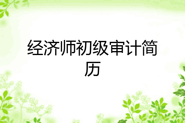 经济师初级审计简历