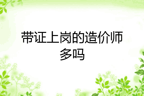 带证上岗的造价师多吗