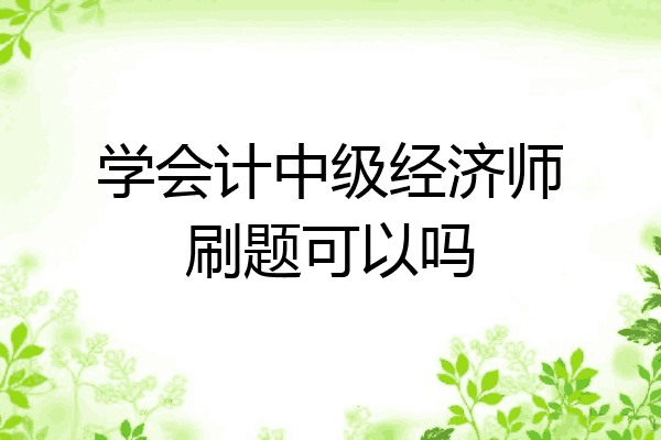 学会计中级经济师刷题可以吗