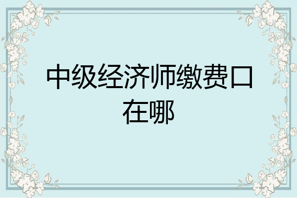 中级经济师缴费口在哪