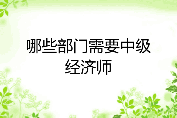哪些部门需要中级经济师