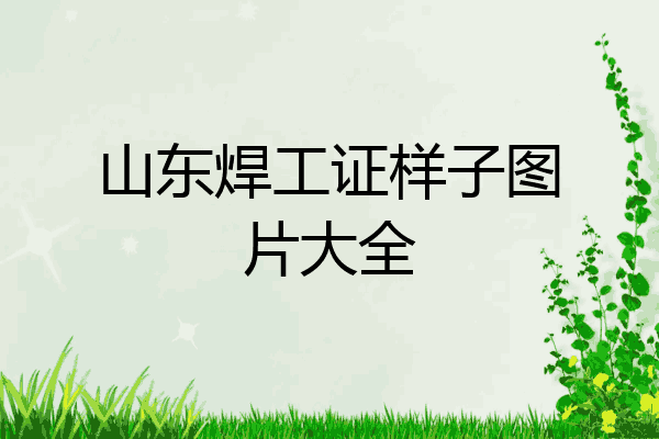山东焊工证样子图片大全