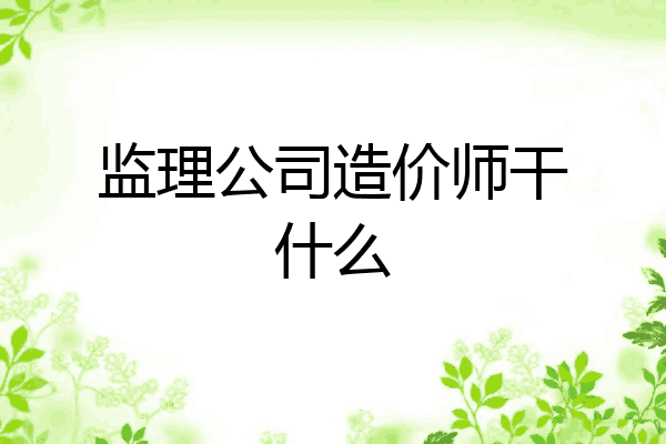 监理公司造价师干什么
