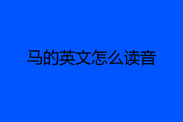 马的英文怎么读音