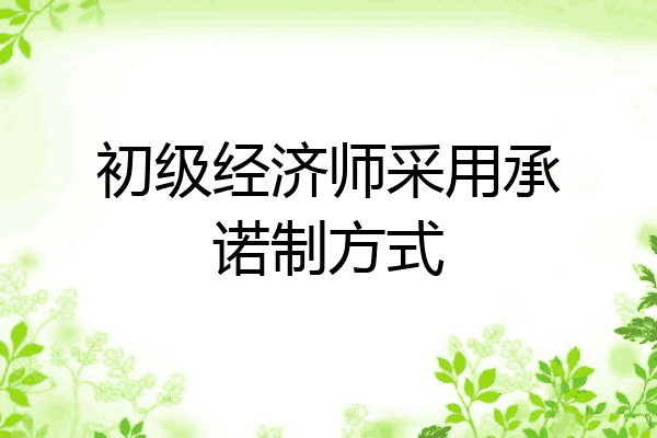初级经济师采用承诺制方式