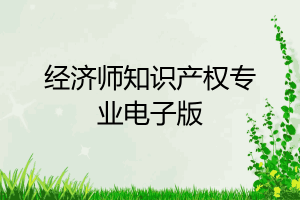 经济师知识产权专业电子版