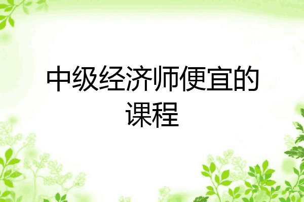 中级经济师便宜的课程