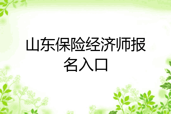 山东保险经济师报名入口
