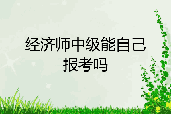 经济师中级能自己报考吗