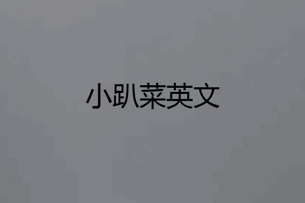 小趴菜英文
