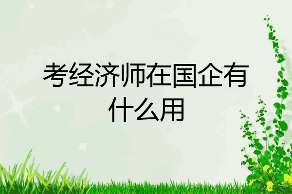 考经济师在国企有什么用