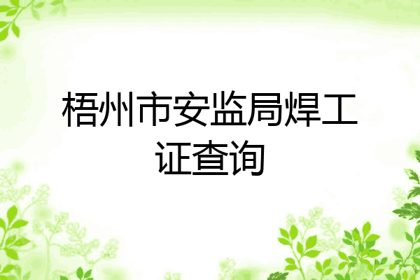 梧州市安监局焊工证查询