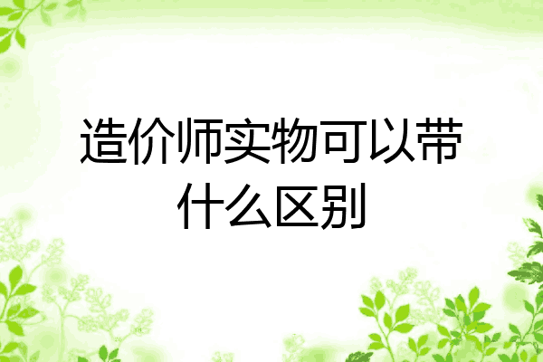 造价师实物可以带什么区别