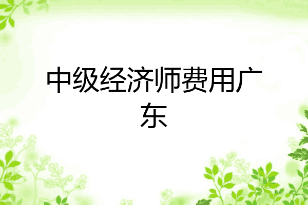 中级经济师费用广东