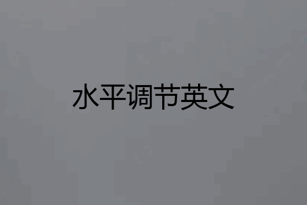 水平调节英文