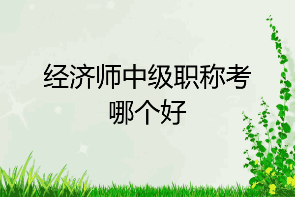 经济师中级职称考哪个好