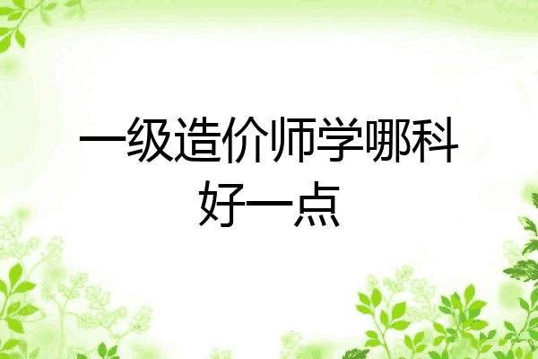 一级造价师学哪科好一点