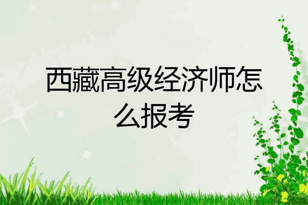 西藏高级经济师怎么报考