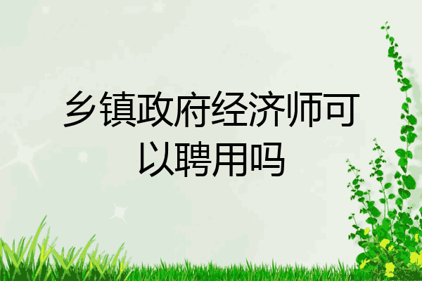 乡镇政府经济师可以聘用吗