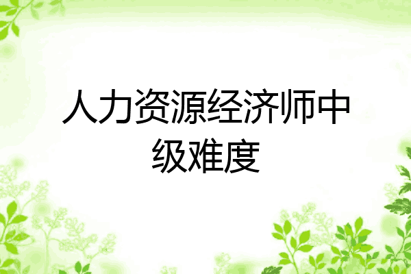 人力资源经济师中级难度