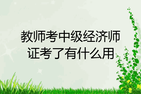 教师考中级经济师证考了有什么用