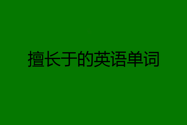 擅长于的英语单词