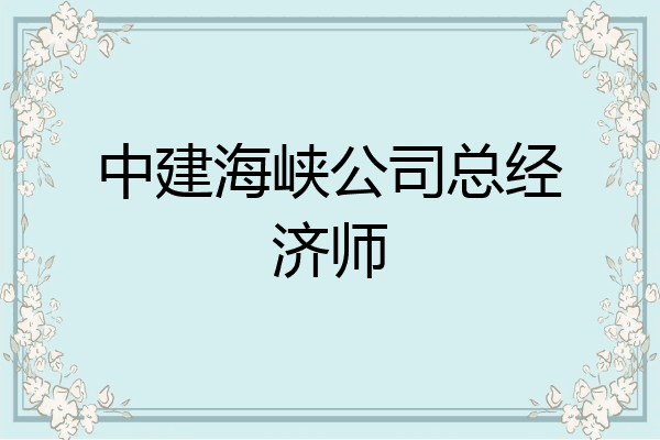 中建海峡公司总经济师