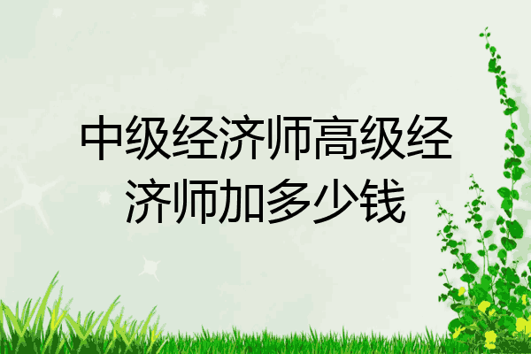 中级经济师高级经济师加多少钱