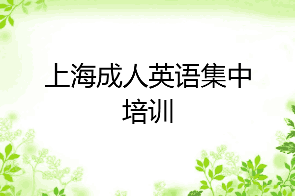 上海成人英语集中培训