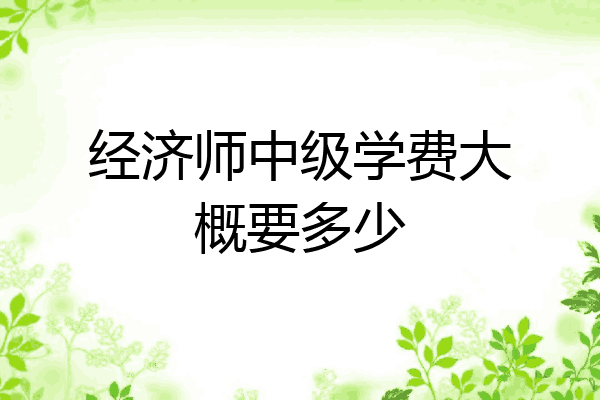 经济师中级学费大概要多少