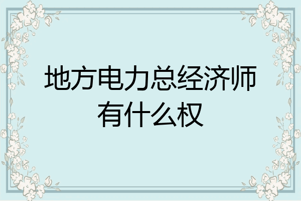 地方电力总经济师有什么权
