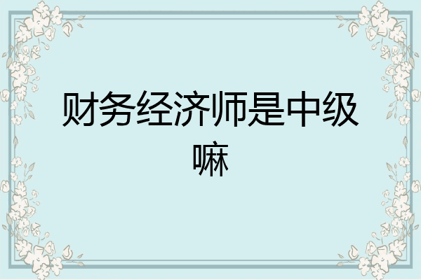 财务经济师是中级嘛