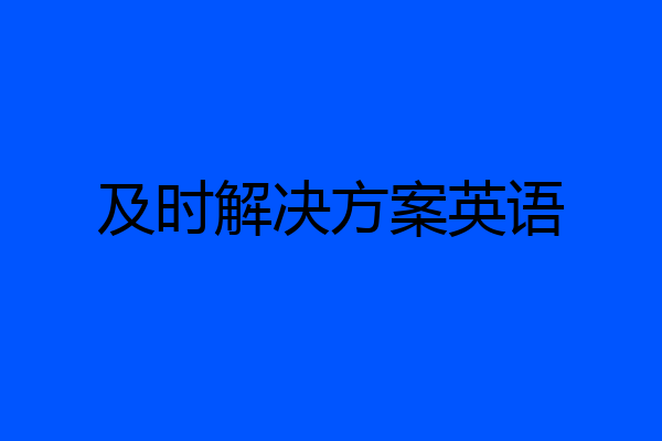 及时解决方案英语