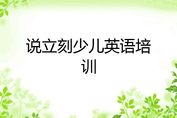 说立刻少儿英语培训
