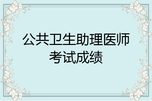 公共卫生助理医师考试成绩