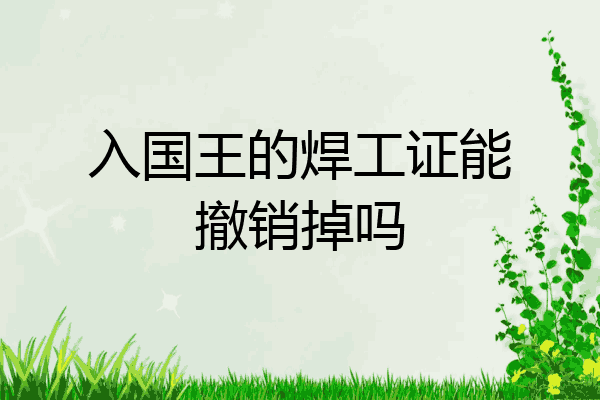 入国王的焊工证能撤销掉吗
