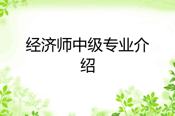 经济师中级专业介绍