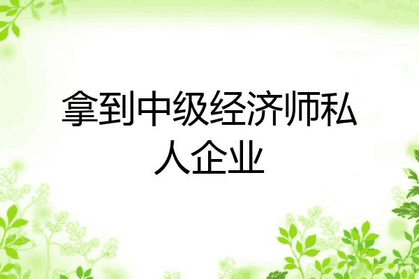 拿到中级经济师私人企业