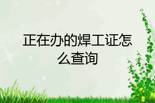 正在办的焊工证怎么查询