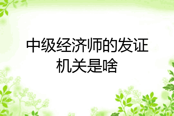 中级经济师的发证机关是啥