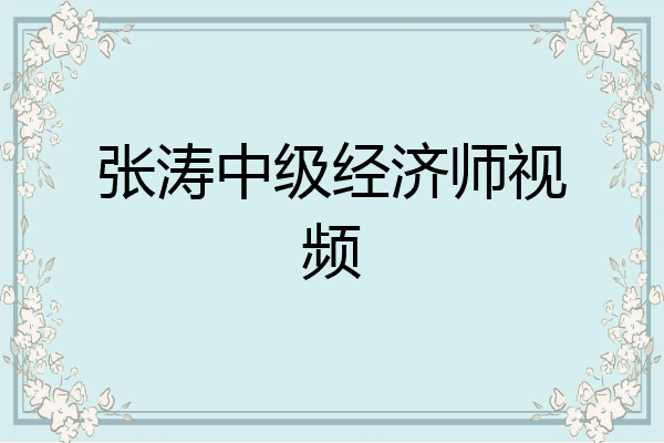张涛中级经济师视频