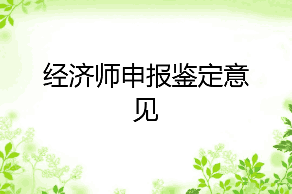 经济师申报鉴定意见