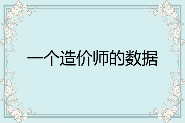 一个造价师的数据
